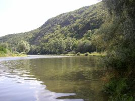 Berounka 1-pod jezem v Mokropsích 28.7.2004.jpg